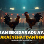 Sejarah dan Perkembangan Bola dalam Dunia Olahraga