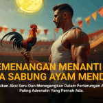 Mengenal Jenis Ayam Aduan SV388 yang Paling Populer