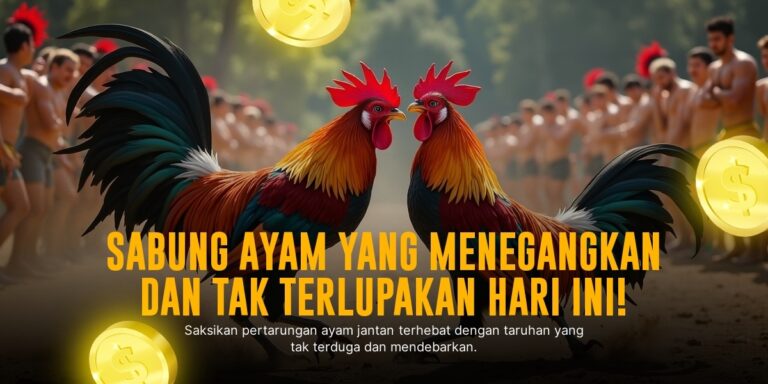 Mengenal Ayam Bangkok, Raja Sabung Ayam dengan Odds Tinggi